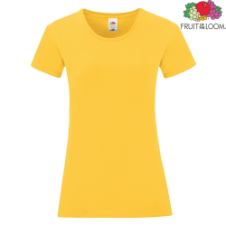 Sunflower 34
