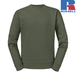Olive BP