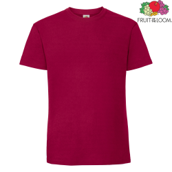 Cranberry CY