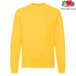 Sunflower 34