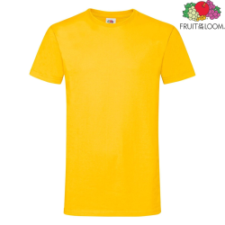Sunflower 34