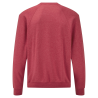 Classic Raglan Sweat | Fruit of the Loom
