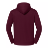 Iconic Premium Hooded Sweat | Fruit Of The Loom