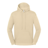 Iconic 250 Hooded Sweat | Fruit Of The Loom